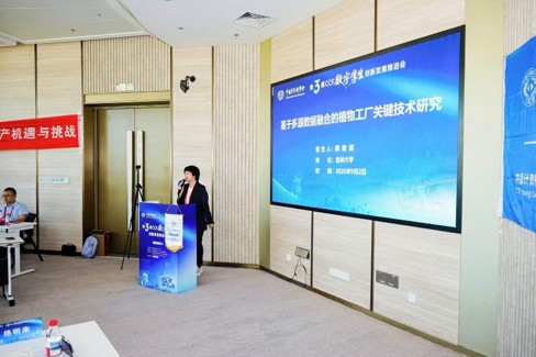 图片5